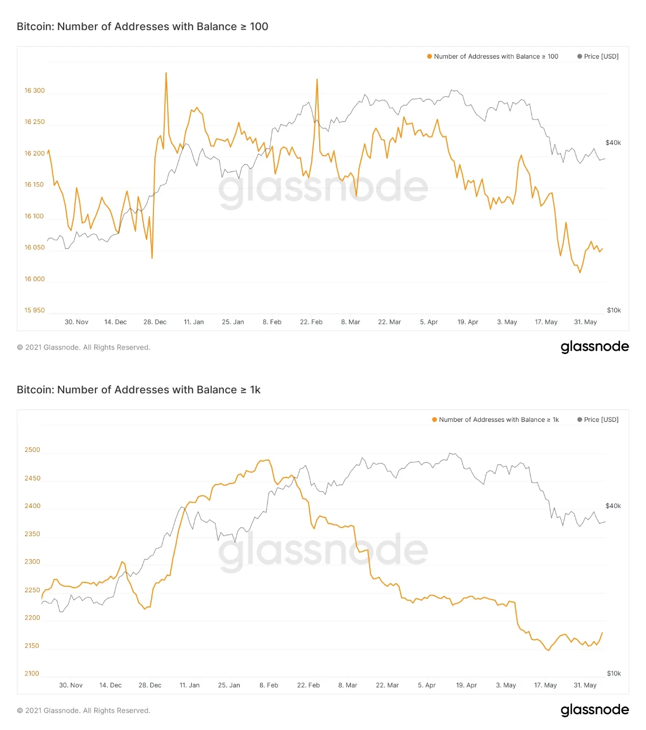 2021年以来持仓大于100/1000 BTC的地址数变化，来源glassnode